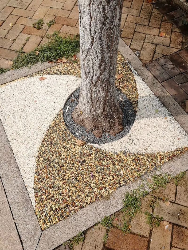 胶粘石透水地坪施工 胶粘石透水地坪施工